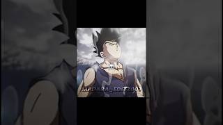 Beast Gohan vs Goku Mui anime dbl dragonballz edit [upl. by Belloir987]