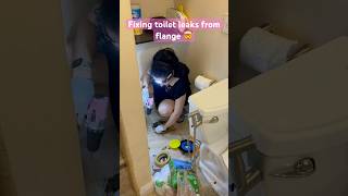 Toilet Flange Repair From 1500 to 30 DIY DIY HomeRepair ToiletFix SaveMoney [upl. by Bartko]