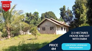 V240 25 HECTARES HOUSE AND LOT WITH FARM PRICE 4M LOCATION UMINGAN PANGASINAN [upl. by Wojak]