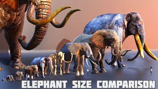 Elephants size comparison  mammoth size comparison 😱 [upl. by Girand935]