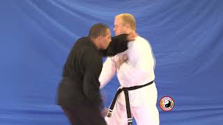 Kempo Karate  Combination 18 [upl. by Barabbas616]