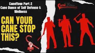 Cane Self Defense CaneFlow Part 2 Can Your Cane Stop THIS [upl. by Rudiger]