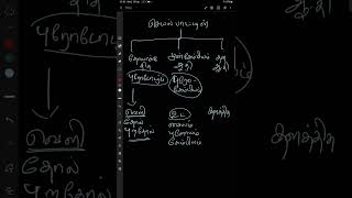 3 types of meristem in Tamil [upl. by Kathleen]