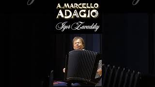 AMarcello Concerto in D minor Adagio 66 Zavadsky accordion marcello adagio classicalmusic [upl. by Peedsaj]