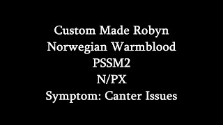 Symptoms Of PSSM2 Canter Issues Custom Made Robyn Video 2 [upl. by Thurnau413]