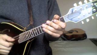 The Birdhouse With Tabs  Mandolin Lesson [upl. by Akemot]