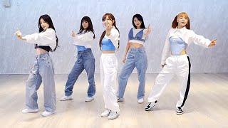 Apink  D N D Dance Practice Mirrored 4K [upl. by Rooke]