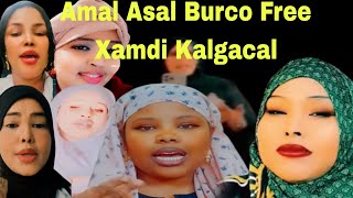 Amal Asal burco Free Xamdi Kalgacal Qaybtii Kobaad [upl. by Litton]