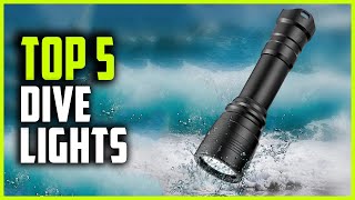 Best Dive Lights 2024  Top 5 Scuba Dive Lights [upl. by Meadow55]