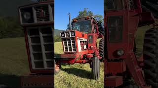 Best smell ever  Fresh cut hay farming love subscribe tractor farming hay limpbizkit [upl. by Felty84]