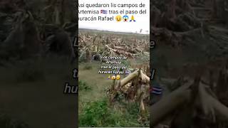 Artemisa después del paso de huracán debastada🙏😱😥 [upl. by Ddahc116]