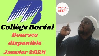 ADMISSION AU COLLÈGE BORÉAL AVEC BOURSES D’ÉTUDE  JANVIER 2024 [upl. by Otsirc]