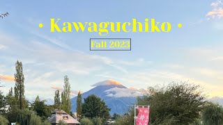 VLOG Strolling around Fujikawaguchiko 🇯🇵 [upl. by Fraze]