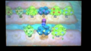 Pokemon Y  berry farming and mutations [upl. by Eignav]