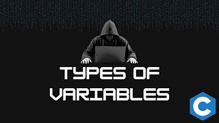 Types of Variables in Functions [upl. by Elocim739]