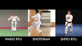 Do You Know Difference Between Karate Styles [upl. by Einahc]