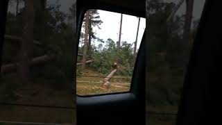 Hurricane Helene aftermath in Grovetown GA 💔 [upl. by Keyes]