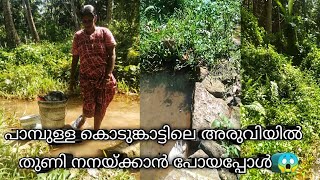 ഇന്നത്തെ സംഭവം 🙏 l family vlog l reji sathi abi vlog [upl. by Eycats]