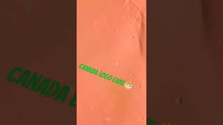 🇨🇦Canada logo cakeshortsvideo beautiful satish sk cake video vairal [upl. by Aikas]