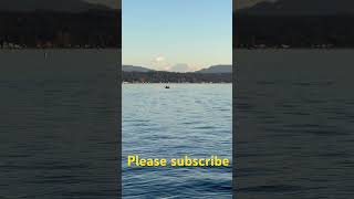 Kayaking Sammamish lake Mt Rainier in the background Big dawgs [upl. by Colligan]