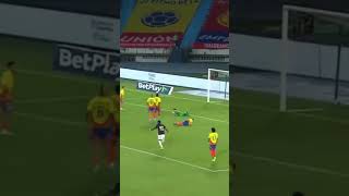 Golazo de ECUADOR ⚽️⚽️ futbol luisdiaz seleccioncolombia mundial2026 seleccioncolombiana [upl. by Ahsimac]