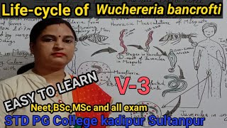 Life cycle of Wuchereria bancroftiFilaria bancroftiElephantiasis NeetBScMSc STD PGC kadipur [upl. by Fretwell]