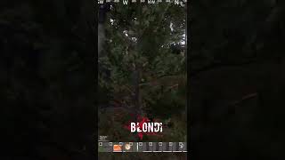 Proof Blondi is not using ESP dayzclips dayzfunnymoments [upl. by Turoff939]