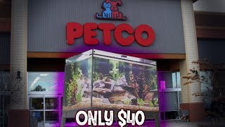 CRAZY Petco Aquarium Deal [upl. by Nnylsor358]