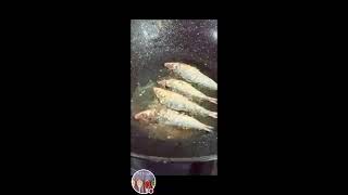 Ann T Mix Vlog is liveLets Fry Fried EggDried FishSatisfyingBreakfast [upl. by Atnom]