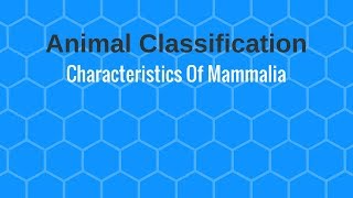 Characteristics Of Mammalia [upl. by Dlawso]