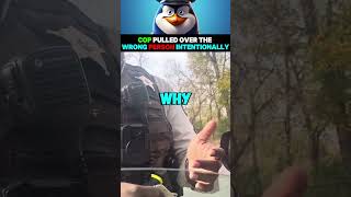 Cop Pulled Over The Wrong Person Intentionally [upl. by Edyth]