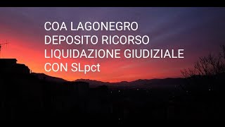 DEPOSITO RICORSO LIQUIDAZIONE GIUDIZIALE CON SLPCT [upl. by Arbuckle]