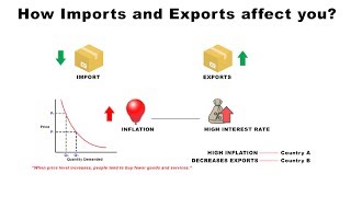 How Imports and Exports Affect You  Economics [upl. by Atlas46]