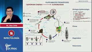 Parásitos Platelmintos Tremátodes Fasciola Schistosoma Clonorchis Paragonimus mp4 [upl. by Llewxam172]