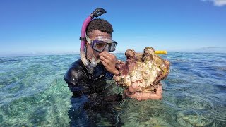 Diving For Giant Clams🤿🇫🇯 [upl. by Souza]