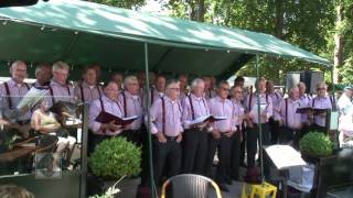 Het Musicale Landleven 2010  Roalter Jongs [upl. by Ehtylb]