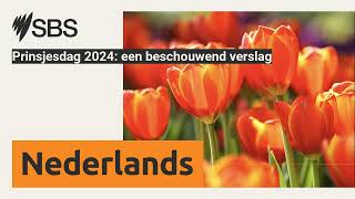 Prinsjesdag 2024 een beschouwend verslag  SBS Dutch  SBS Nederlands [upl. by Andrey]