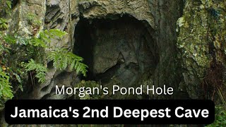 Cave Visit  Morgans Pond Hole  Jamaicas 2nd Deepest Known Cave  OB Fitness [upl. by Haroppizt]