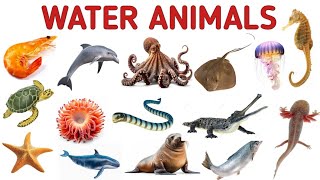 Water Animals  Facts About Some Water Animals  The Kituu World [upl. by Ogren389]