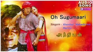 Anniyan  Shankar Movie  O Sukumari Song  Anniyan songs  Vikram songs  Harris Jayaraj hits [upl. by Rayburn]