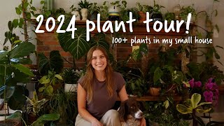 Houseplant tour 2024 Over 100 rare and common plants in my small house [upl. by Ecinue786]