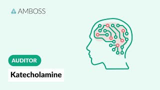 Auditor Neurotransmitter 1  Kateocholamine  AMBOSS [upl. by Reggis]