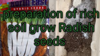 How to prepare rich soil and grow Radish seedsMysimplegarden1 [upl. by Ennahtebazile]