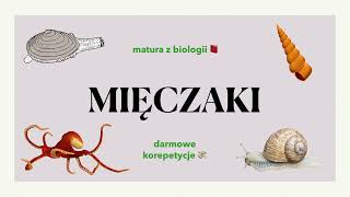 26 Mięczaki  małże ślimaki głowonogi  budowa charakterystyka 📕 biologia rozszerzona do matury [upl. by Thorr]