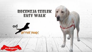 Recenzja szelek Easy Walk  różnica między obrożą a szelkami [upl. by Woo]