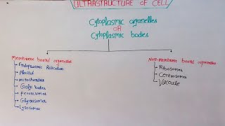 Ultrastructure Of Cell Cytoplasmic Bodies In HindiUrdu [upl. by Elahcim64]