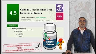 45 CÉLULAS Y MECANISMOS DE LA INMUNIDAD INNATA [upl. by Calida309]