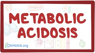 Metabolic acidosis  causes symptoms diagnosis treatment pathology [upl. by Butte692]