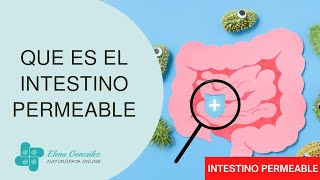 🔥 Que es el Intestino Permeable  Elena González 🔔✅ [upl. by Leinadnhoj]