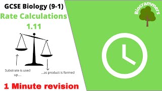 GCSE Biology 91 Rate Calculations EdexcelAQAOCR [upl. by Ganny405]